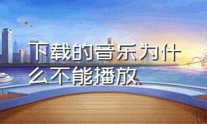 下载的音乐为什么不能播放