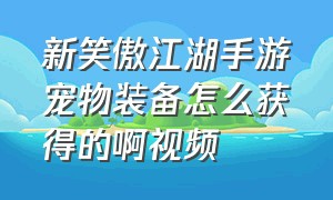 新笑傲江湖手游宠物装备怎么获得的啊视频