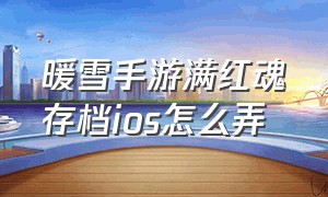 暖雪手游满红魂存档ios怎么弄（steam暖雪）