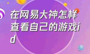 在网易大神怎样查看自己的游戏id