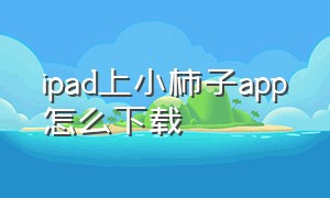 ipad上小柿子app怎么下载（小柿子ios最新版怎么下载）