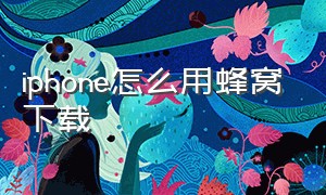 iphone怎么用蜂窝下载