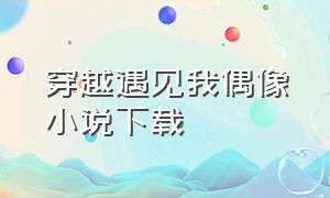 穿越遇见我偶像小说下载