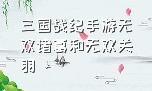 三国战纪手游无双诸葛和无双关羽