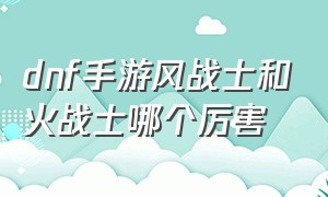 dnf手游风战士和火战士哪个厉害