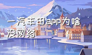 一汽丰田app为啥没网络