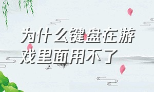 为什么键盘在游戏里面用不了