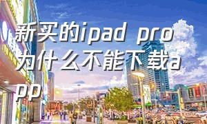 新买的ipad pro为什么不能下载app