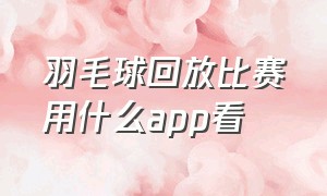 羽毛球回放比赛用什么app看