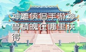 神雕侠侣手游神兽精魄在哪里获得