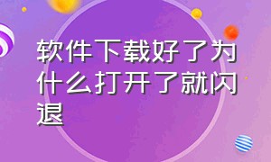 软件下载好了为什么打开了就闪退