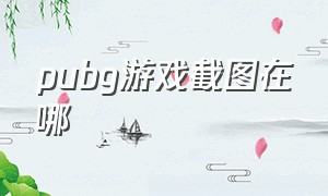 pubg游戏截图在哪