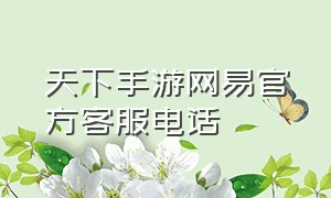 天下手游网易官方客服电话