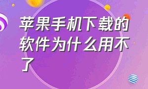 苹果手机下载的软件为什么用不了