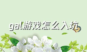 gal游戏怎么入坑