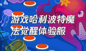 游戏哈利波特魔法觉醒体验服