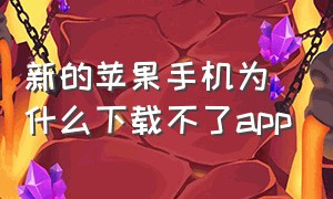 新的苹果手机为什么下载不了app