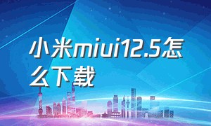 小米miui12.5怎么下载