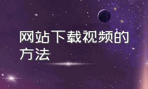 网站下载视频的方法