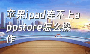 苹果ipad连不上appstore怎么操作（ipad的appstore怎么登不上去）
