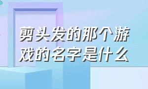 剪头发的那个游戏的名字是什么