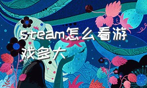 steam怎么看游戏多大（steam哪里看游戏大小）