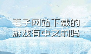 毛子网站下载的游戏有中文的吗