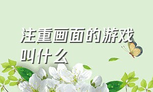 注重画面的游戏叫什么（静态画面游戏属于啥游戏）