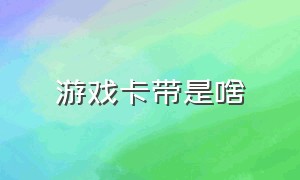 游戏卡带是啥