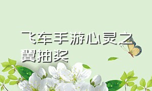 飞车手游心灵之翼抽奖（飞车手游悬浮车礼盒抽奖）