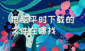 电脑平时下载的文件在哪找