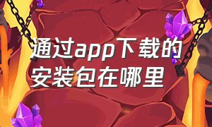 通过app下载的安装包在哪里（手机上app的安装包在哪里找到）