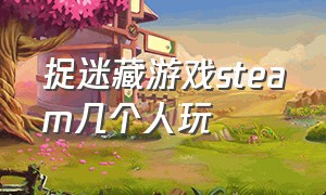 捉迷藏游戏steam几个人玩