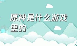 原神是什么游戏里的（原神是一个什么样的游戏）