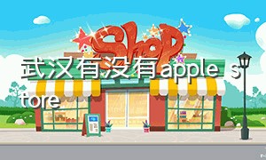 武汉有没有apple store（武汉有没有地铁）