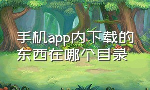 手机app内下载的东西在哪个目录