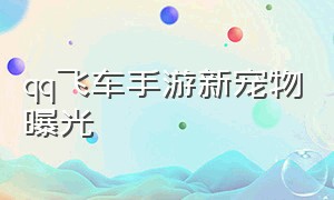 qq飞车手游新宠物曝光