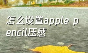 怎么设置apple pencil压感