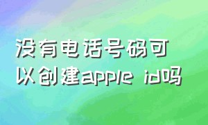 没有电话号码可以创建apple id吗（为什么注册appleid没有电话号码）
