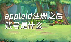 appleid注册之后账号是什么