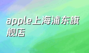 apple上海浦东旗舰店（apple官方旗舰店上海南京东路店）