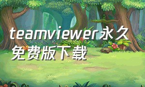 teamviewer永久免费版下载（teamviewer中文版怎么下载）