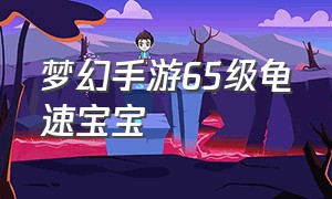 梦幻手游65级龟速宝宝