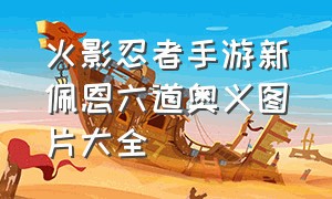 火影忍者手游新佩恩六道奥义图片大全