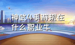 神武4手游现在什么职业牛（神武4手游哪个职业最简单）