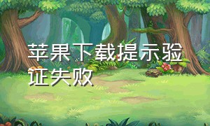 苹果下载提示验证失败