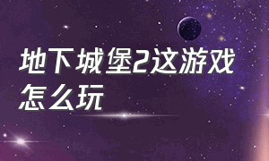 地下城堡2这游戏怎么玩