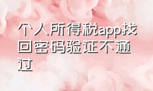 个人所得税app找回密码验证不通过