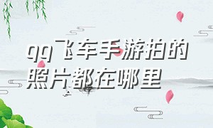 qq飞车手游拍的照片都在哪里