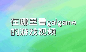 在哪里看galgame的游戏视频